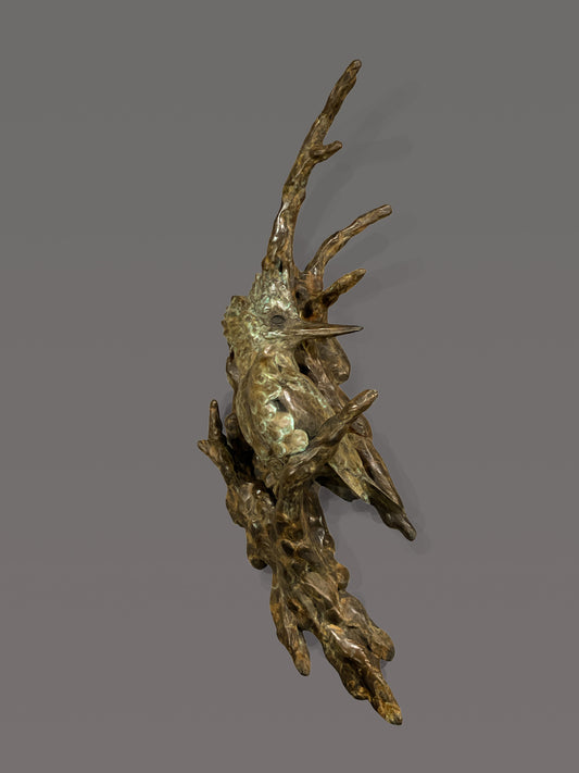 Stefan Savides - All Catch and NO Release