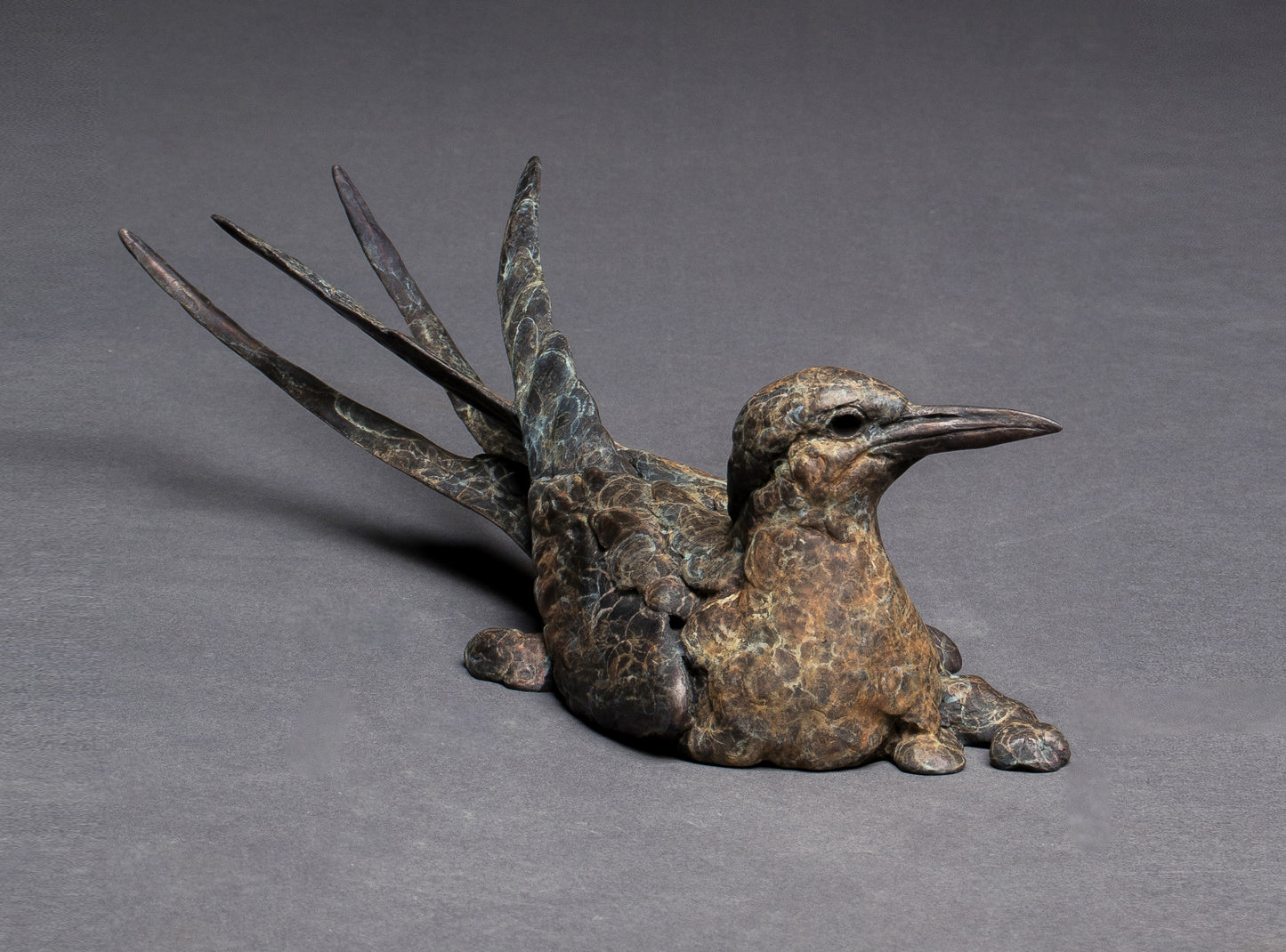 Stefan Savides - Globe Trotter