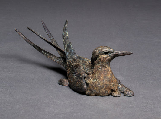 Stefan Savides - Globe Trotter