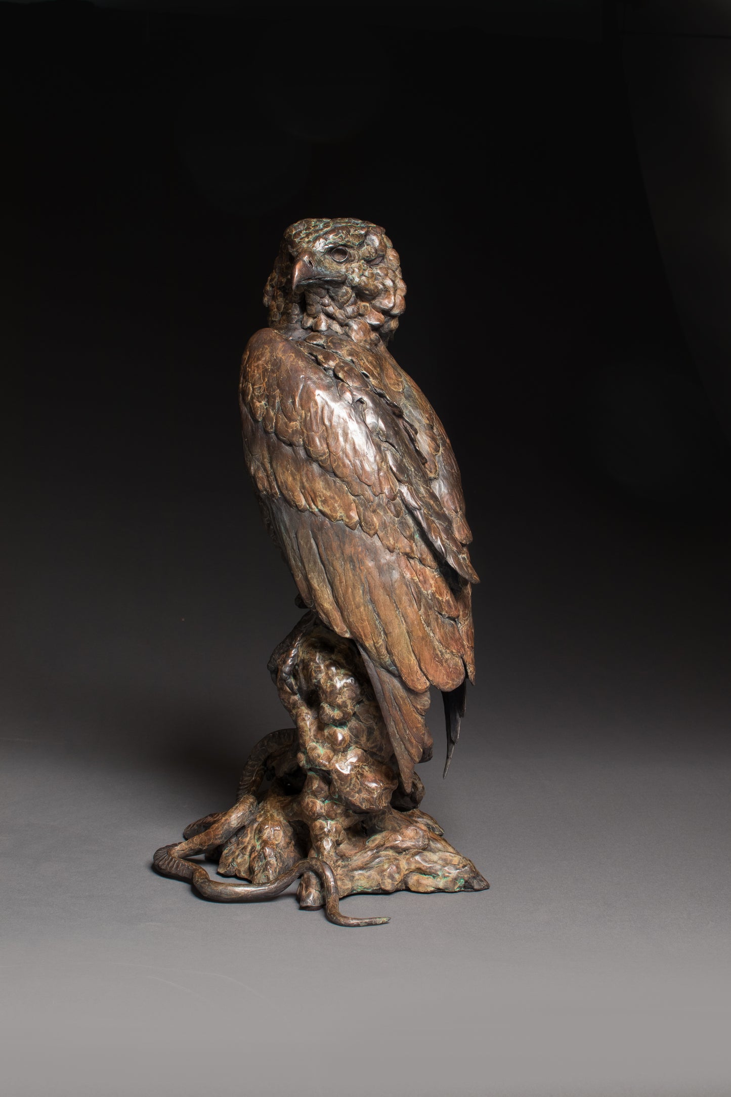 Stefan Savides-Snake Eyes - Bateleur Eagle