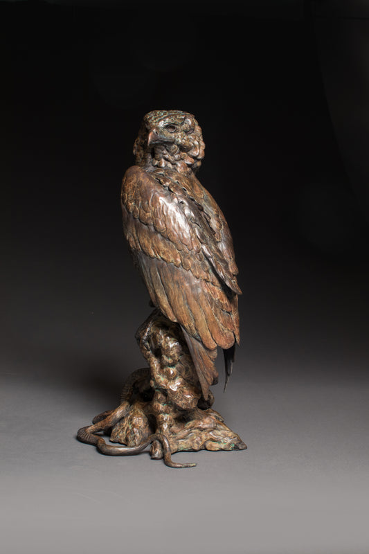 Stefan Savides-Snake Eyes - Bateleur Eagle