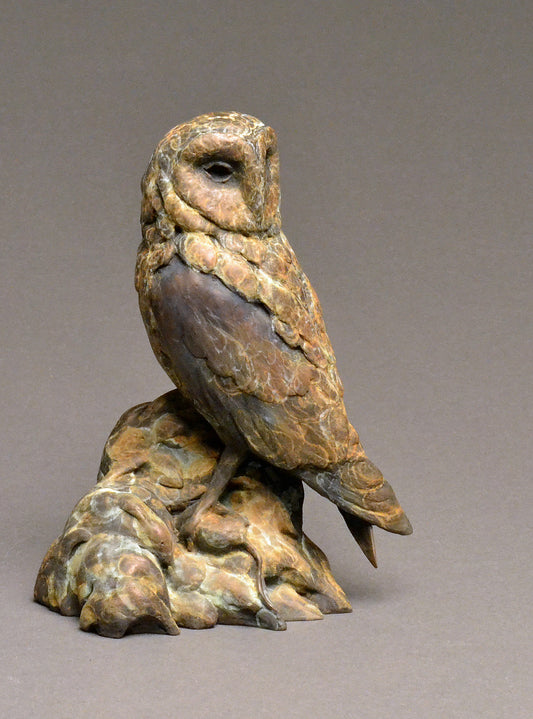 Stefan Savides - Sound of Silence