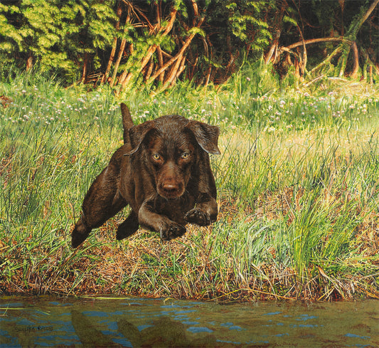 Sueellen Ross - Launch