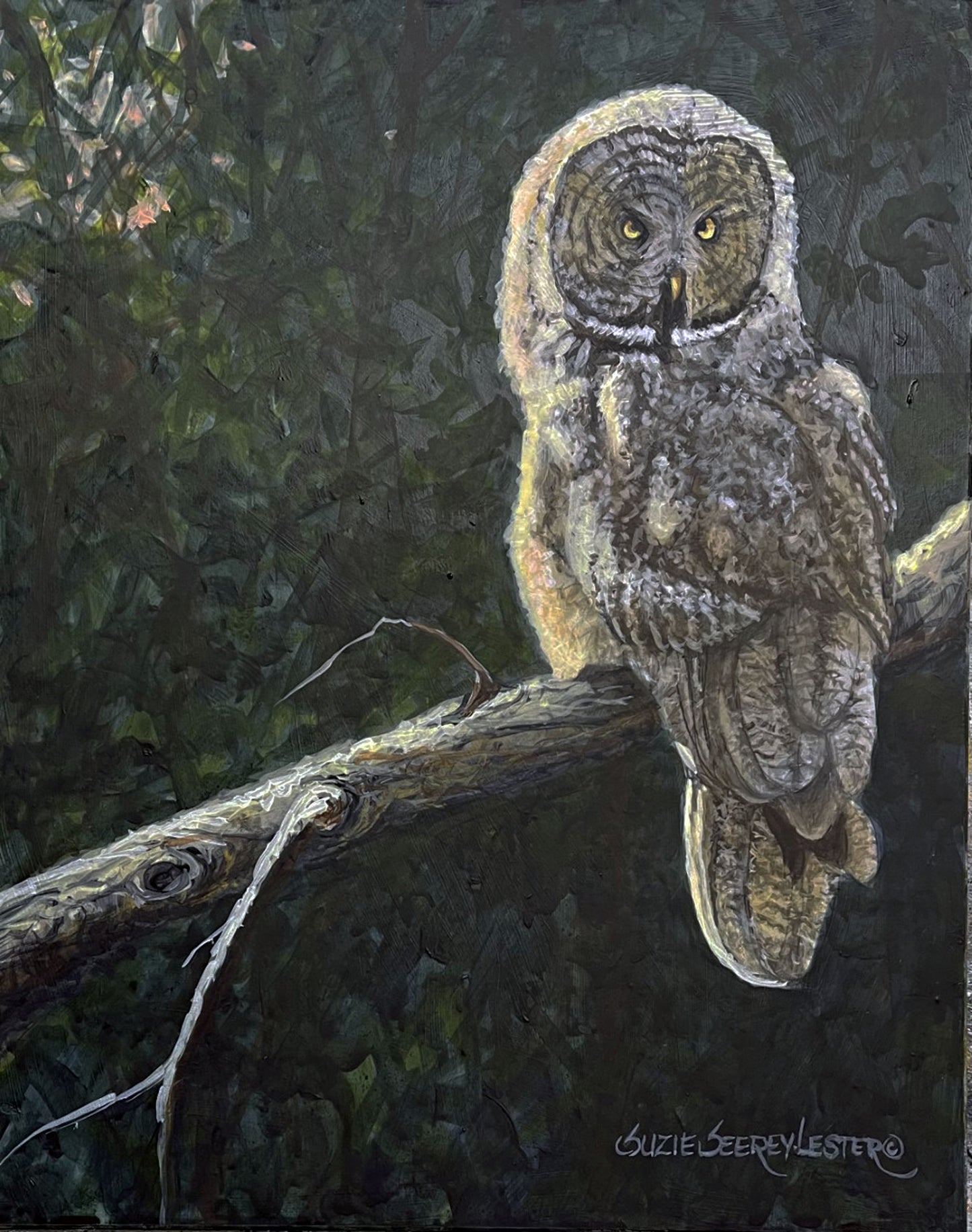 Suzie Seerey-Lester - Yellowstone Gray