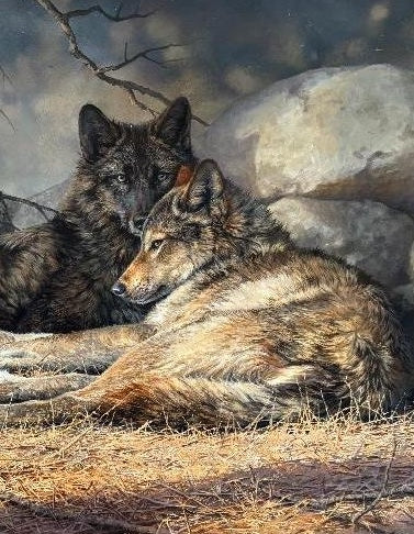 Bonnie Marris