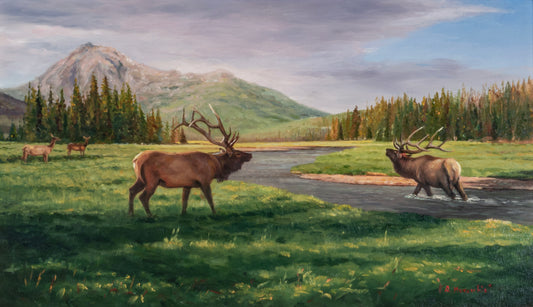 Adriano Manocchia - My Turf