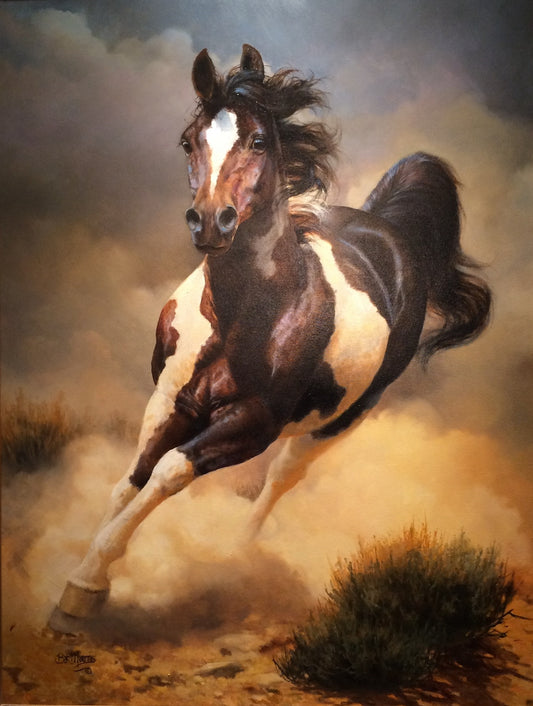 Bonnie Marris - Dust Devil