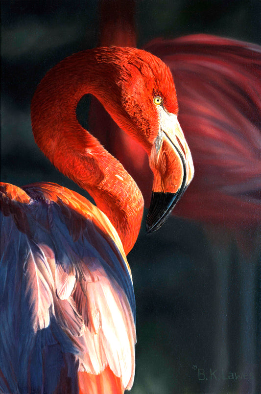 Bruce Lawes - Royal Flush