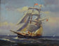 Calvin Liang - Sailing On The Bay