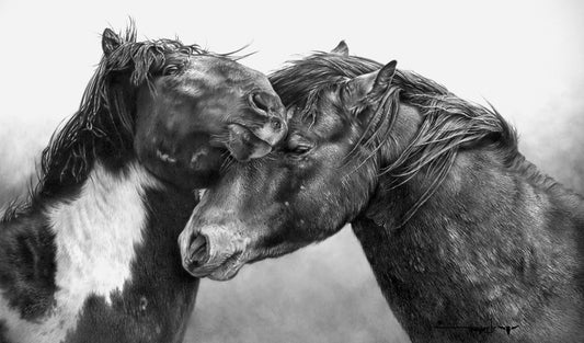 Denis Mayer, Jr. - Entwined Reliance