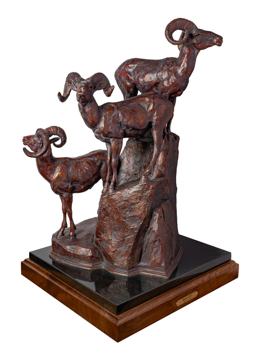 J.C. Dye - Desert CEOs