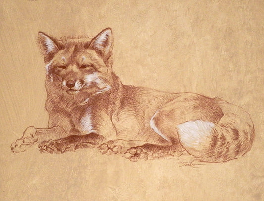 Ezra Tucker - Lazy Red Fox