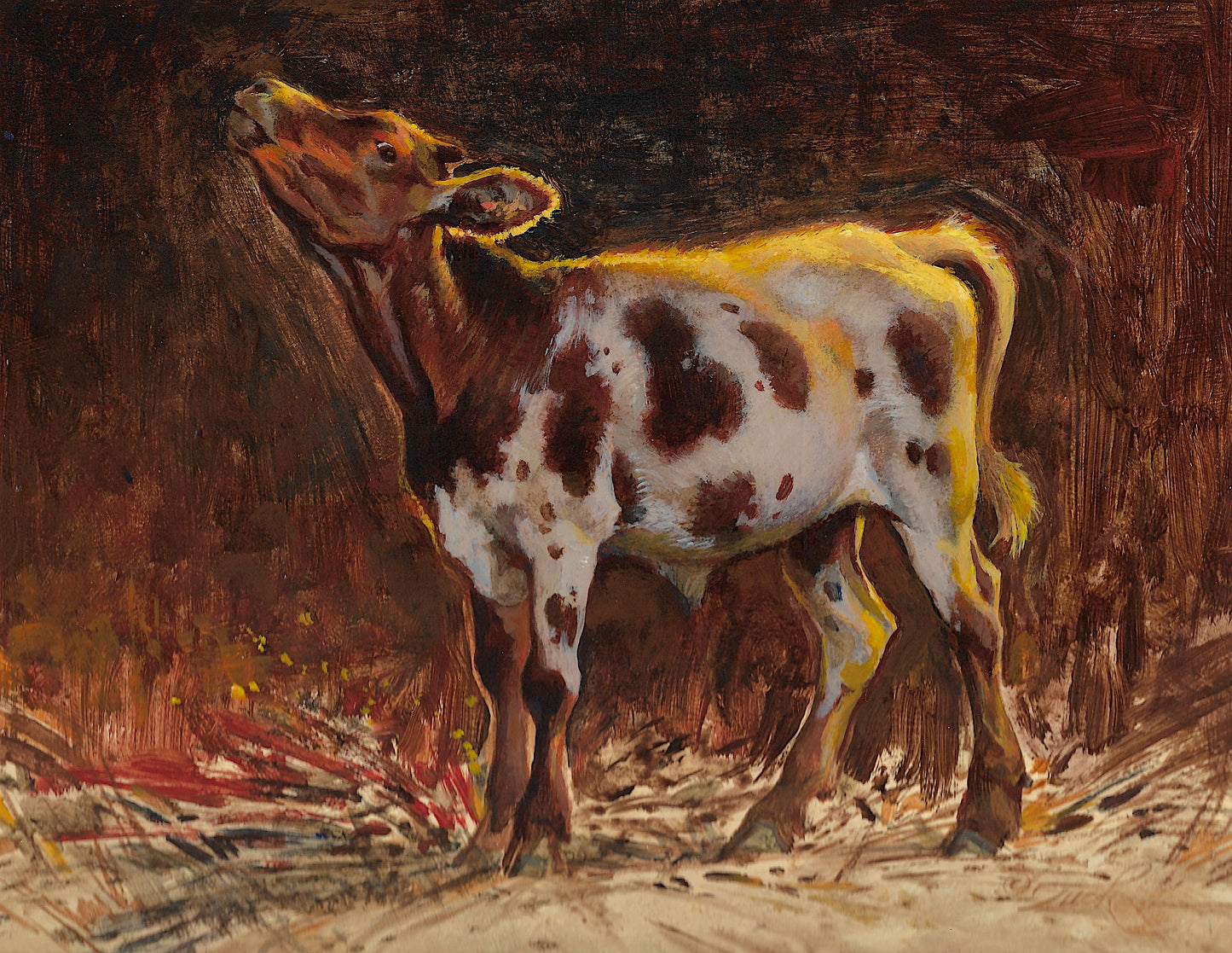 Ezra Tucker - Longhorn Calf