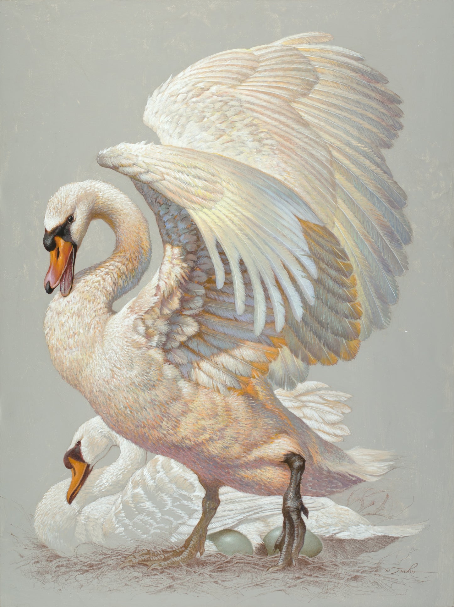 Ezra Tucker - Protecting The Brood
