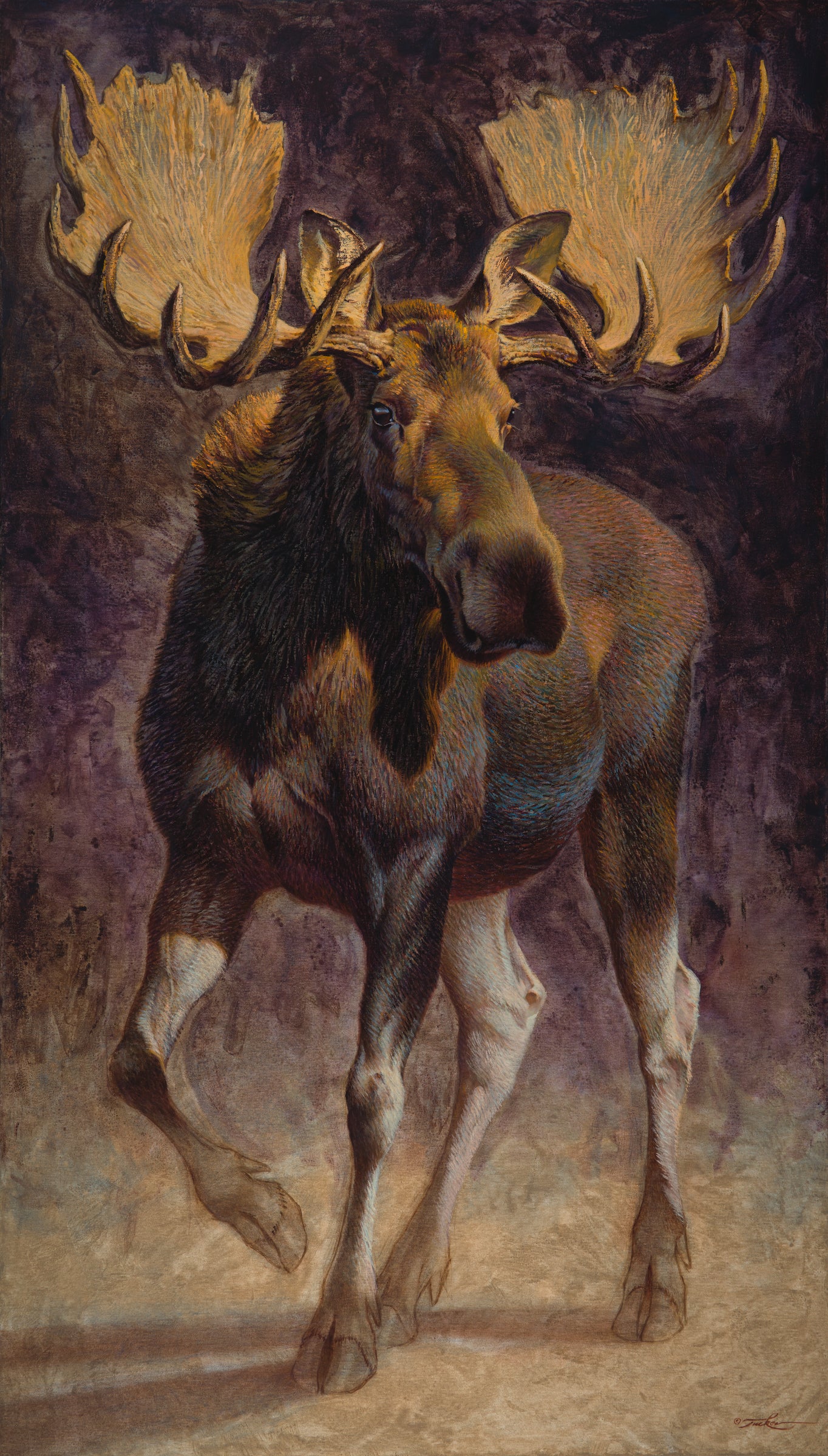 Ezra Tucker - Teton