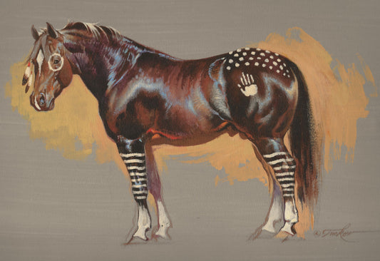 Ezra Tucker - War Pony