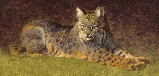 Ezra Tucker - Woodland Sphinx