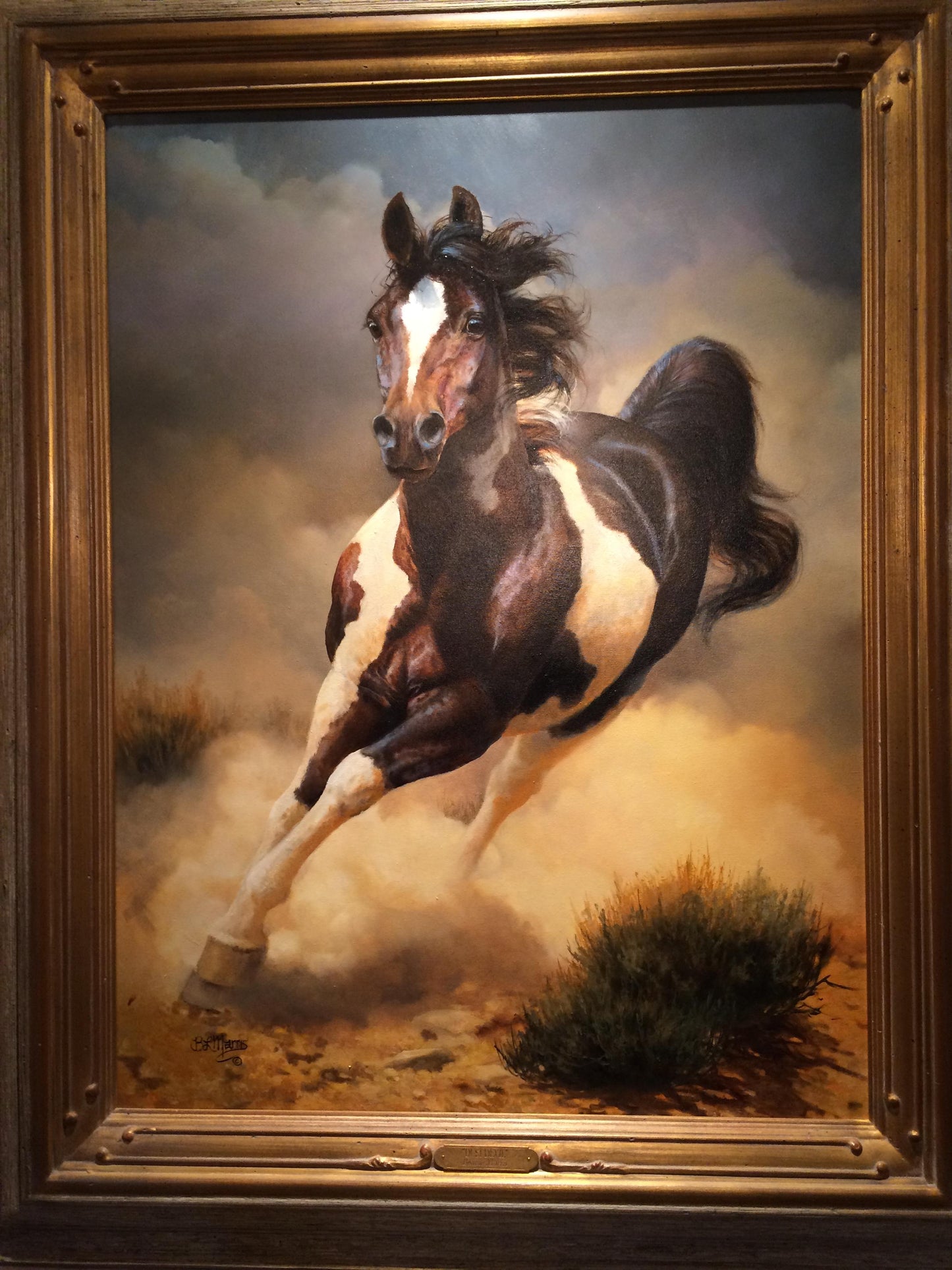 Bonnie Marris - Dust Devil