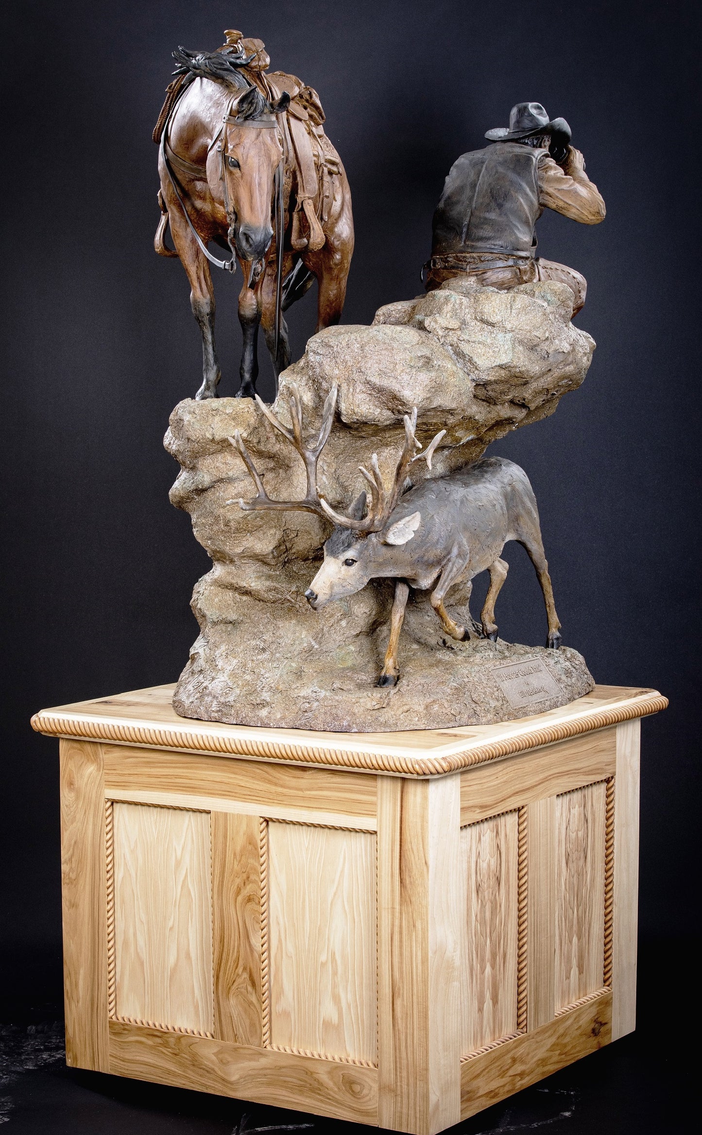 Bill Nebeker - If Horses Could Talk