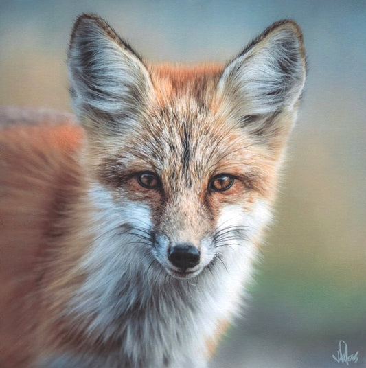 J.R. Hess - Inquisitive Enchantment