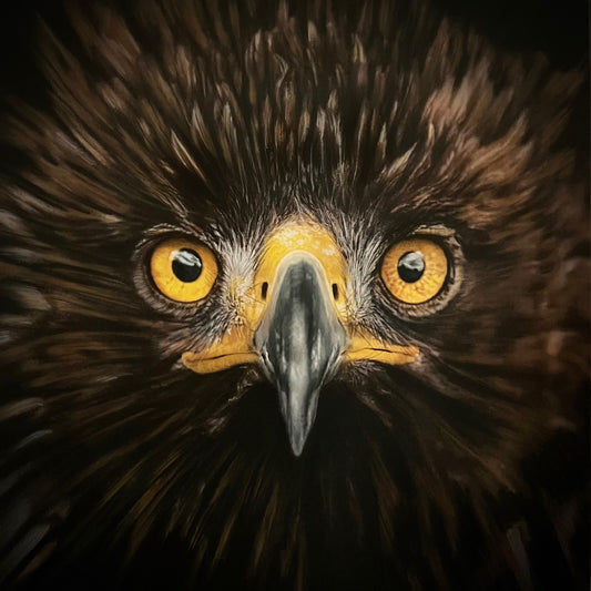 J.R. Hess - Golden Eagle