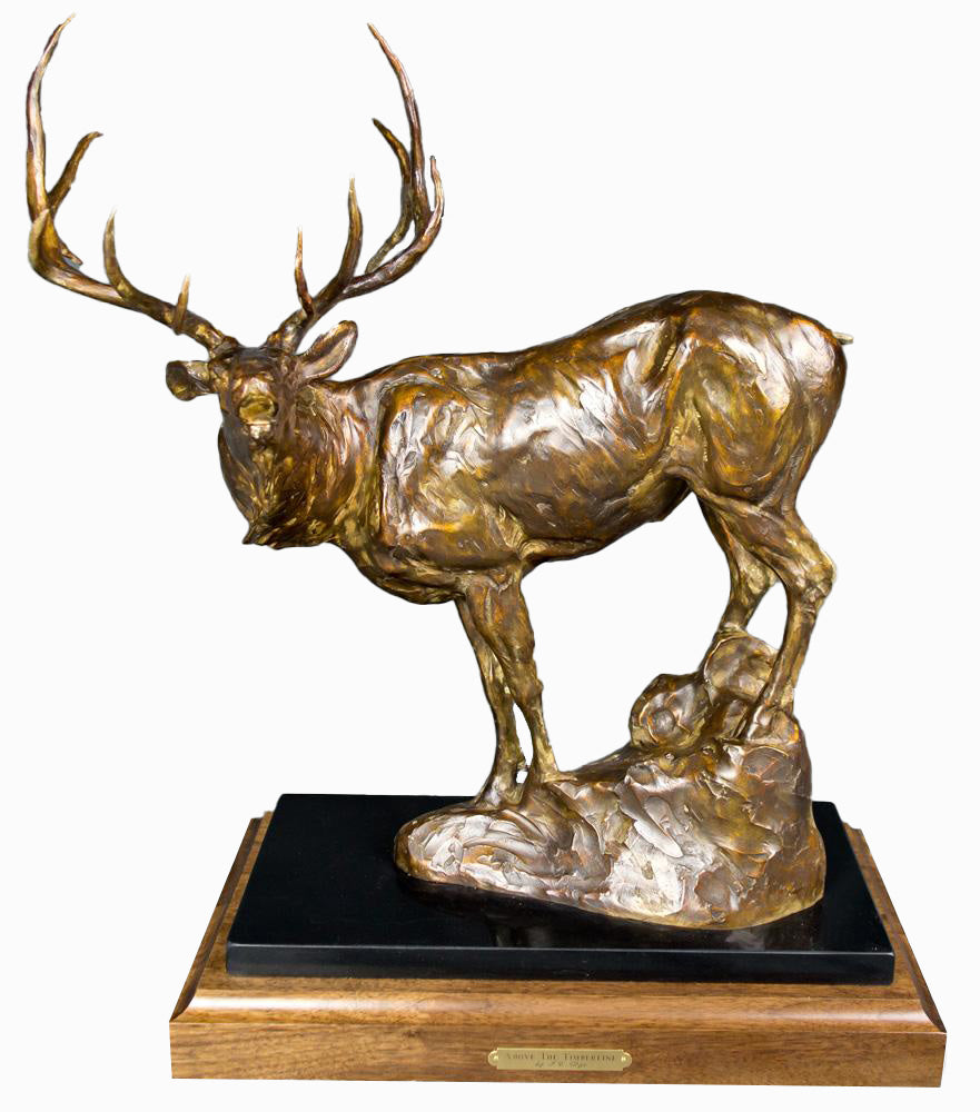 J.C. Dye - Above The Timberline