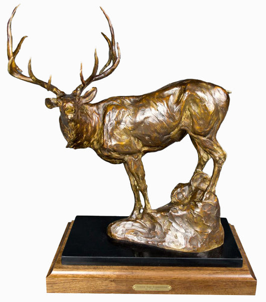 J.C. Dye - Above The Timberline