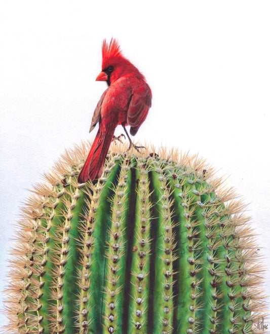 J.R. Hess - Saguaro Sentinel