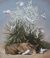 Jennifer O'Cualain - Dreaming of Peace