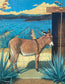Jennifer O'Cualain - Tequila Sunset