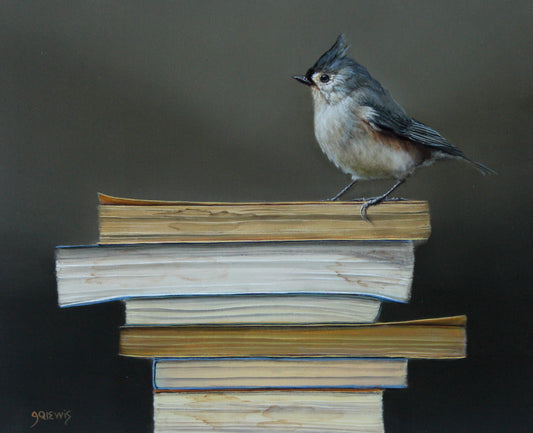 Jhenna Quinn Lewis - The Paperback Section