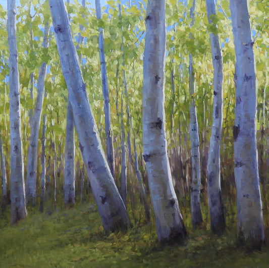 Kathleen Dunphy - Late Summer Aspens