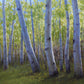 Kathleen Dunphy - Late Summer Aspens