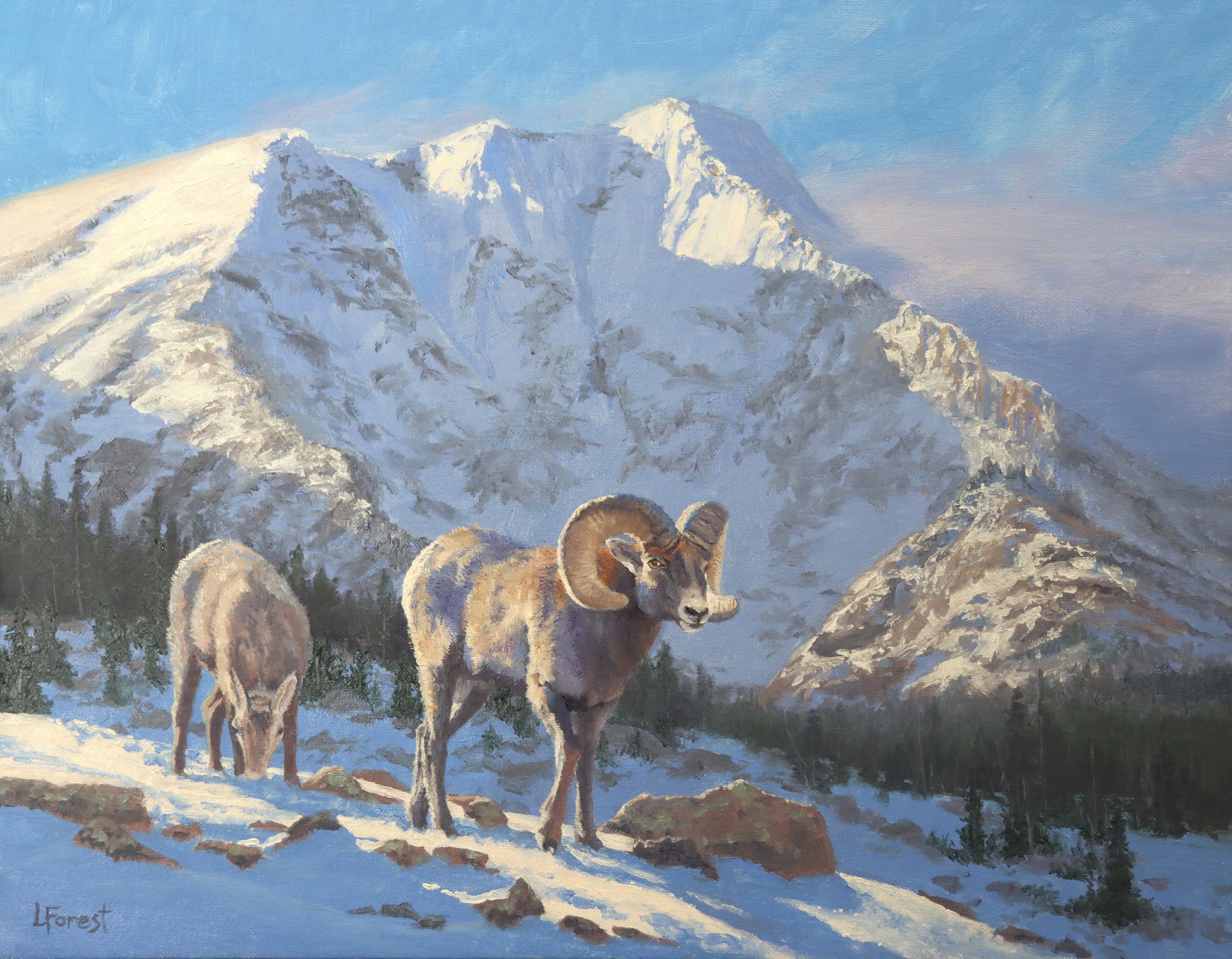 Lori Forest – TRAILSIDE GALLERIES