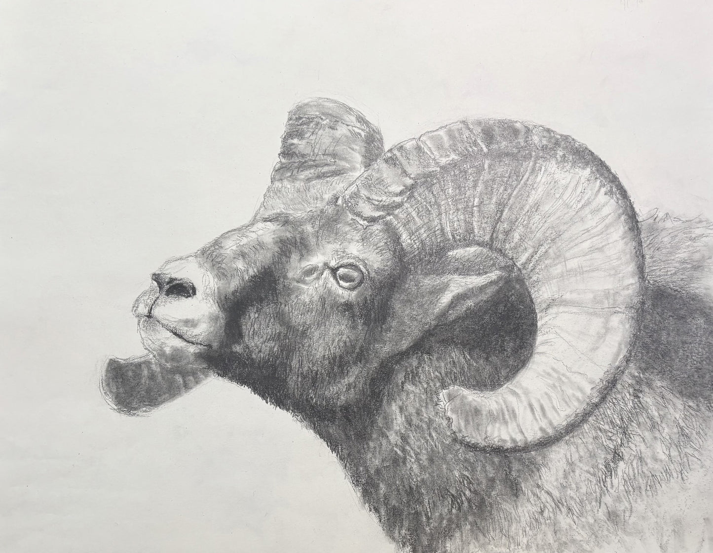 Lori Forest - Stand Your Ground