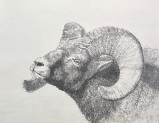 Lori Forest - Stand Your Ground