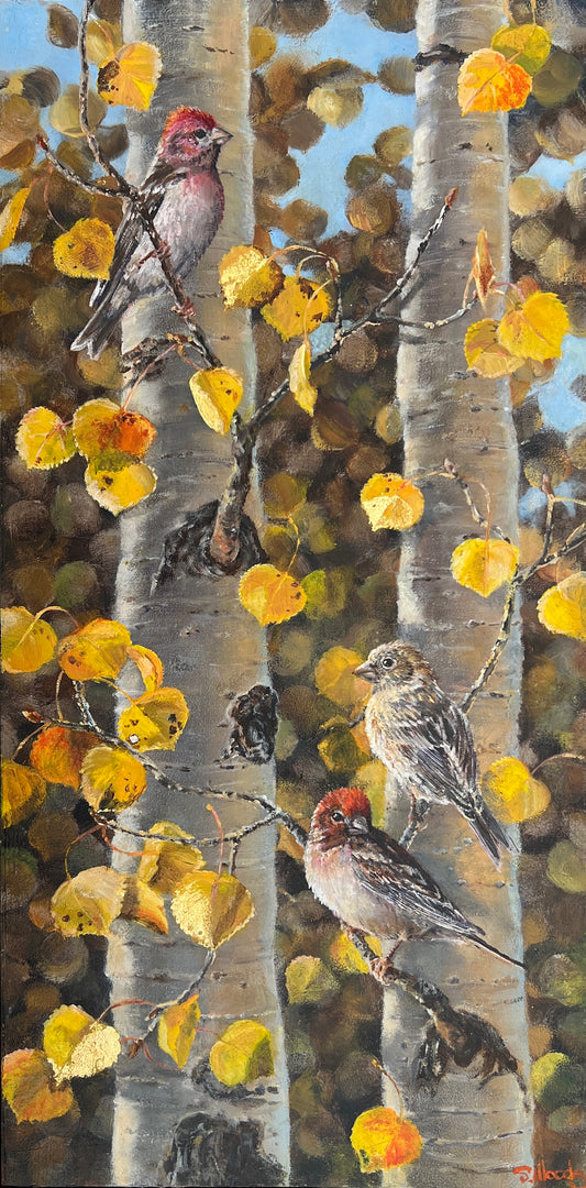 Sarah Woods - Regal in Red and Gold - Cassin's Finch