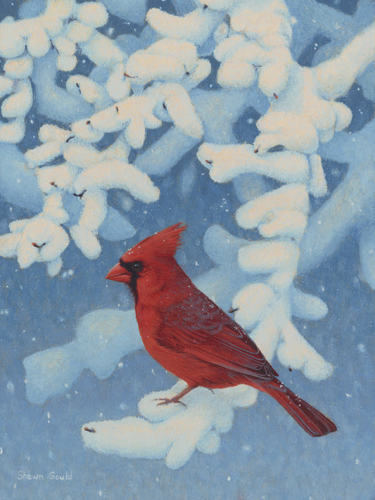 Shawn Gould - Winter Perch