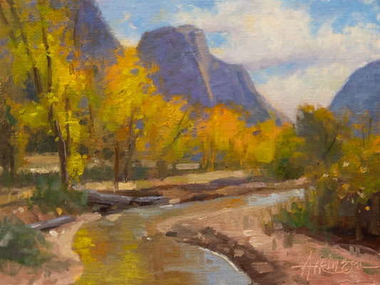 Steve Atkinson - Autumn Along The Virgin