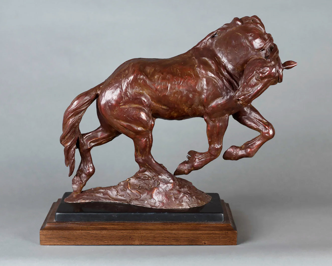 J.C. Dye - Strutting His Stuff