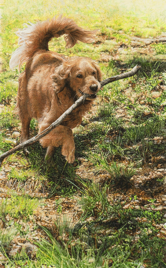 Sueellen Ross - A Stick and Some Shade