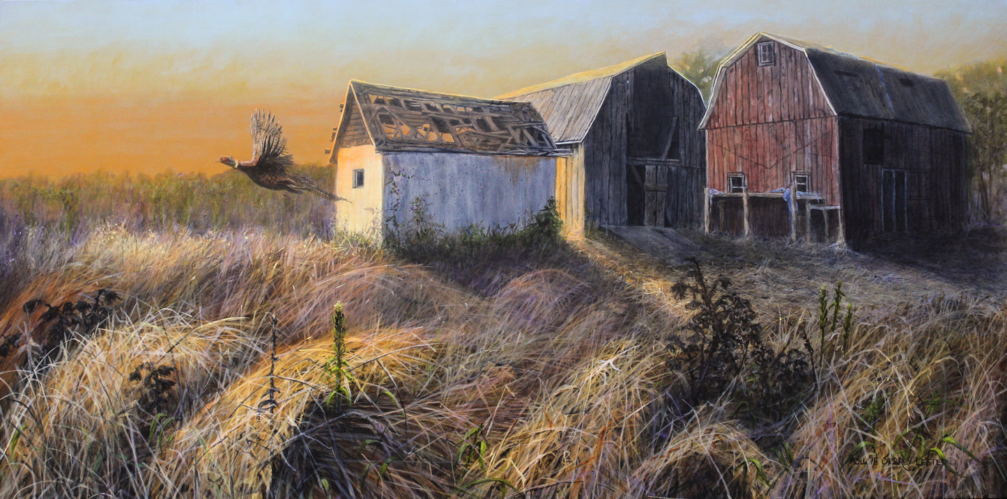 Suzie Seerey-Lester - First Flight of the Day