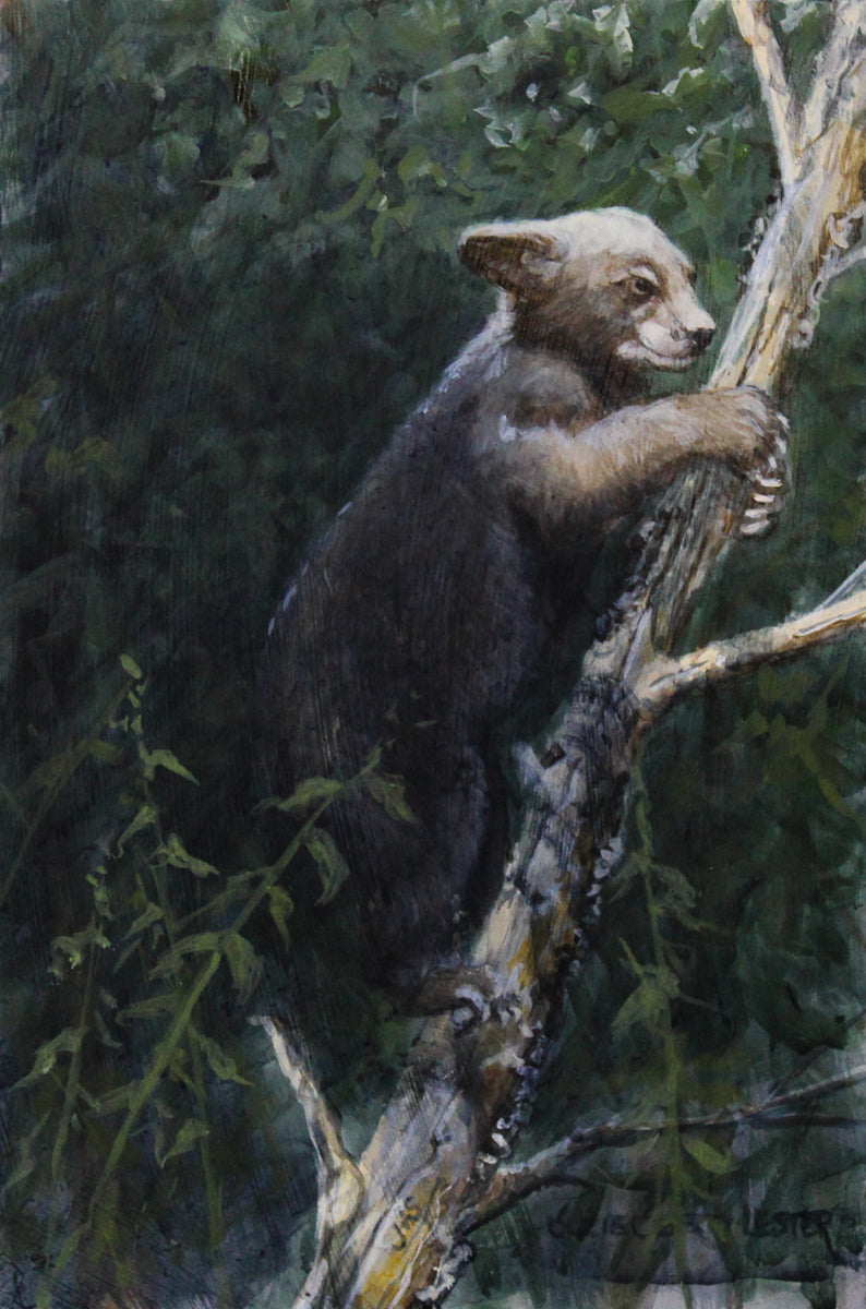 Suzie Seerey-Lester - Practicing