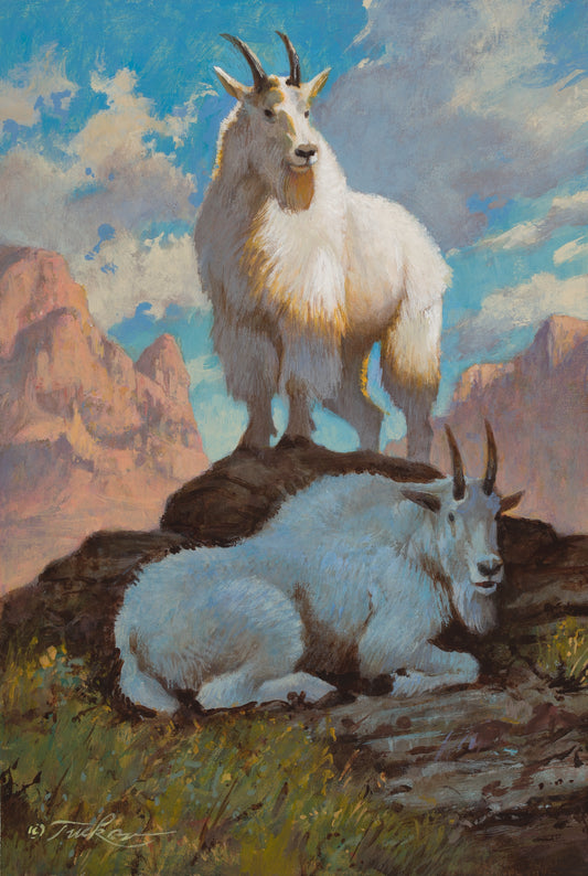 Ezra Tucker-Mountain Goats