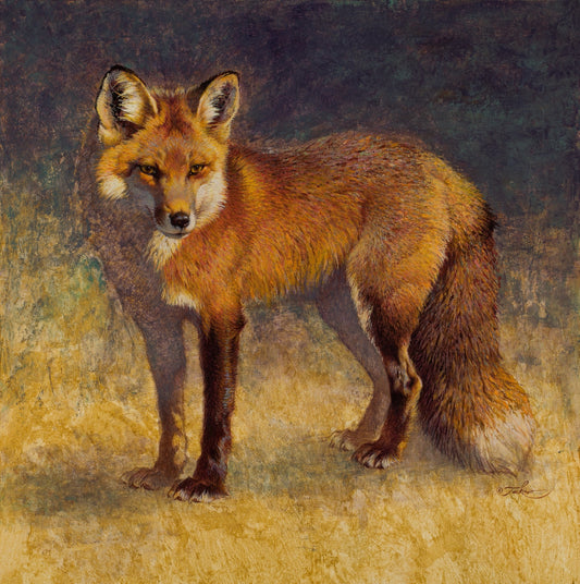 Ezra Tucker-Red Fox