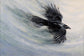 Krystii Melaine - Glacier Guardian - American Crow