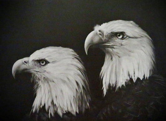 J.R. Hess - Bald Eagles