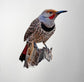 J.R. Hess - Red-Shafted Flicker