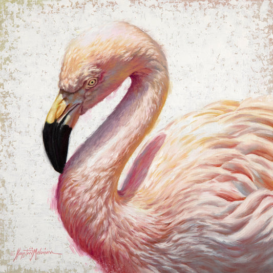 Krystii Melaine - Blush - Flamingo