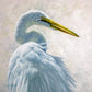 Krystii Melaine - Regal - Great Egret